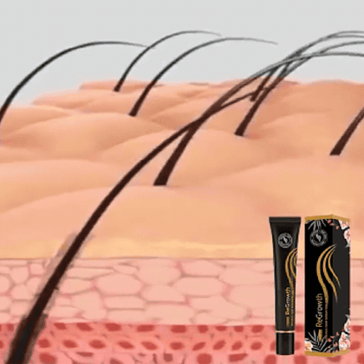 ForceRacine Les Visionnaires