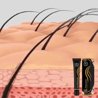 ForceRacine Les Visionnaires